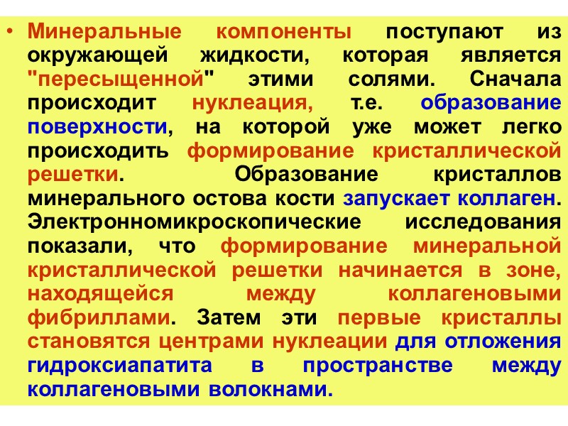 Минеральные компоненты поступают из окружающей жидкости, которая является 